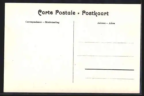 AK Anvers, Jardin Zoologique, Bison