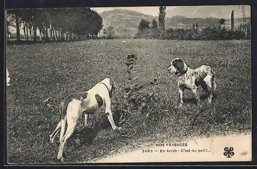 AK Zwei Jagdhunde auf einer Wiese