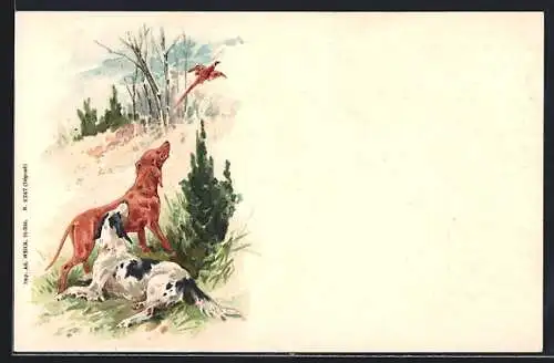 Lithographie Zwei Jagdhunde blicken einem davonfliegendem Fasan nach