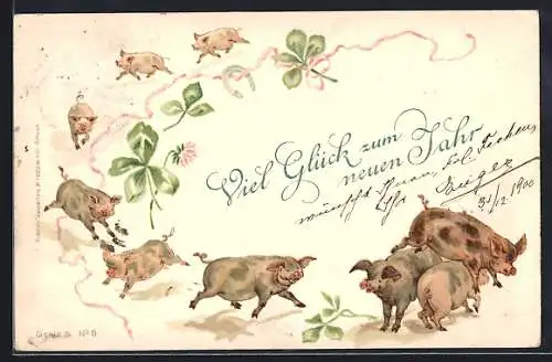 Lithographie Übermütig springende Schweine, Glücksklee, Neujahrsgruss