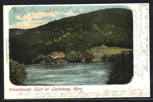 AK Bad Lauterberg, Partie am Wiesenbeeker Teich