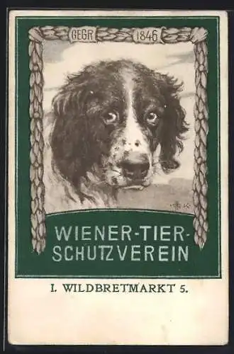 AK Hund mit traurigem Ausdruck, Wiener Tierschutzverein, Wildbretmarkt 5