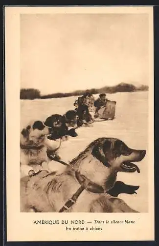 AK Amérique du Nord, Hundegespann im Schnee