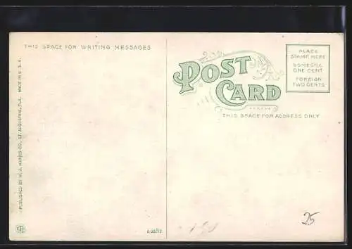 AK White Tiger with his Alligators