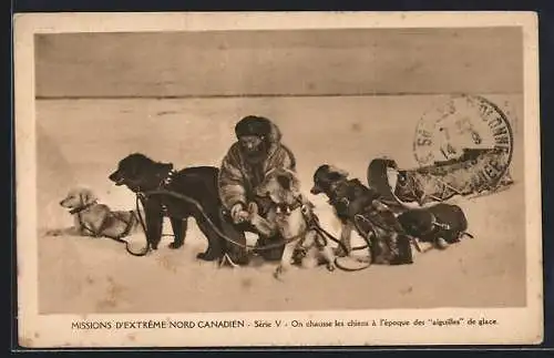 AK Missions D'Extreme Nord Canadien, On chausse les chiens a I'epoque des aiguilles de glace, Hundegespann