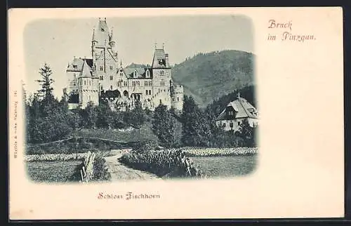 AK Bruck im Pinzgau, Schloss Fischhorn