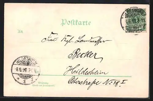 Lithographie Oldenburg i. Gr., Lamberti Kirche, Kirchhofslinde und Siegessäule