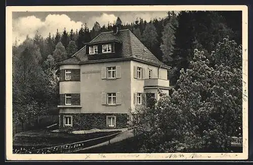 AK Bad Elster, Hotel-Haus Waldschlösschen, Besitzer Schmidt