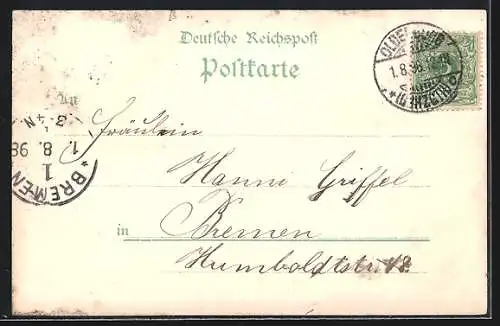 Lithographie Oldenburg / O., Gertrudenkirchhof, Kath. Kirche, Turnhalle d. Turnerbundes