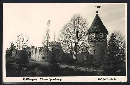 AK Tuttlingen, Blick auf Ruine Honberg