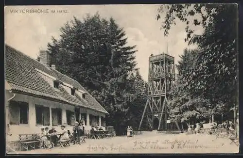 AK Viktorshöhe im Harz, Gasthaus und Aussichtsturm