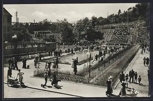 AK Aue /Erzg., Neue Anlage: Stadtgarten