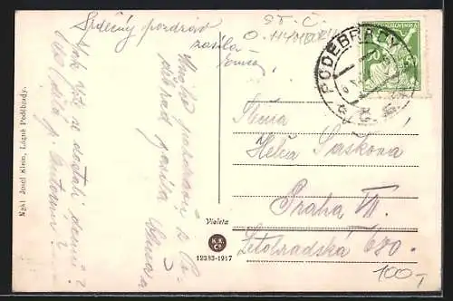 AK Lázne Podebrady, Ortsansicht mit Platz