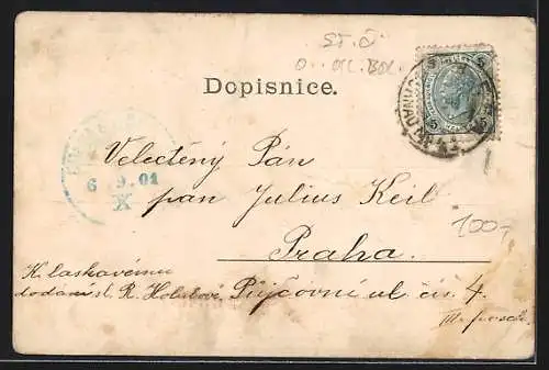 AK Mnichovo Hradiste, Totalansicht übers Feld