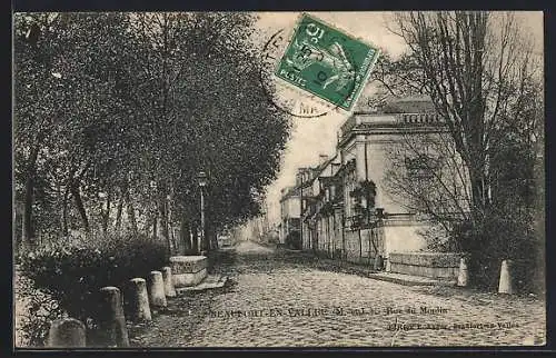 AK Beaumont-en-Vallée, Rue du Moulin avec arbres bordant la chaussée