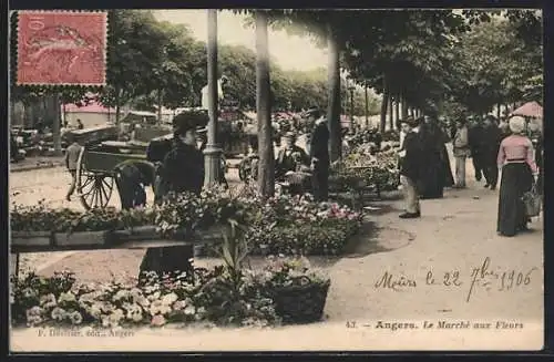 AK Angers, Le Marché aux Fleurs