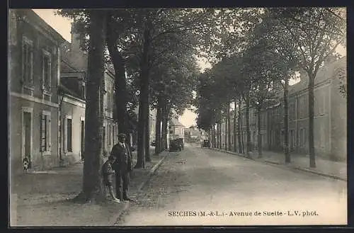 AK Seiches, Avenue de Suelte avec arbres alignés et passants