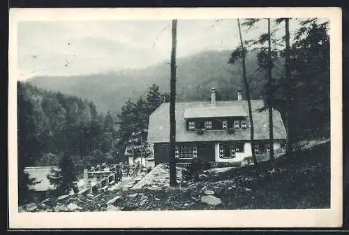 AK Horn /N.-Oe., Mödring, Hotel-Pension zur Waldschänke