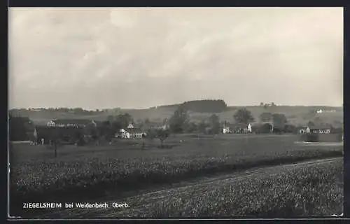 AK Weidenbach /Oberbayern, Ziegelsheim mit Feldweg und Umgebung