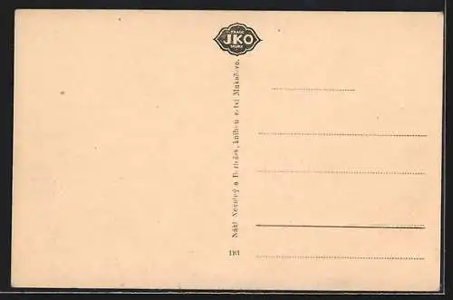 AK Mukacevo, Celkovy Pohled