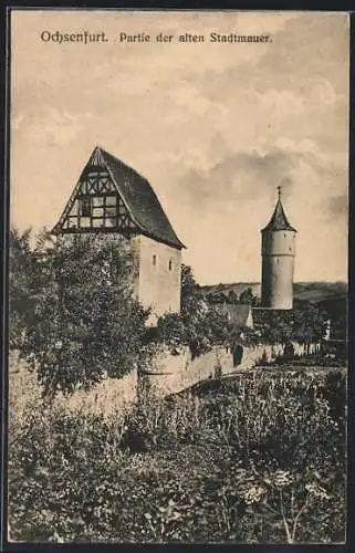 AK Ochsenfurt / Main, Partie der alten Stadtmauer