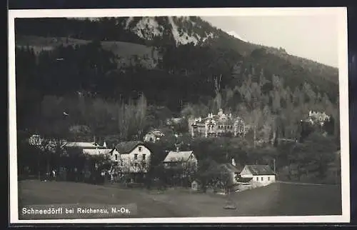 AK Reichenau an der Rax, Blick auf Schneedörfl