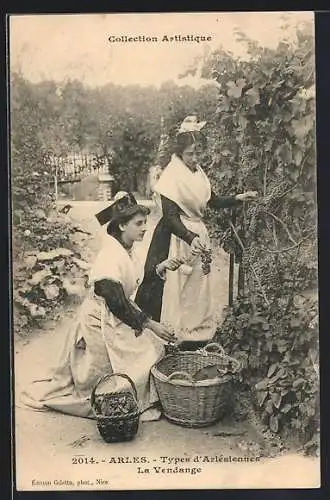 AK Arles, Types d`Arlésiennes, La Vendange, Frauen in Tracht bei der Weinlese