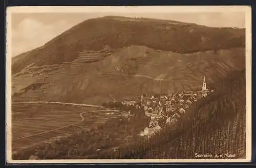 AK Senheim a. d. Mosel, Gesamtansicht am Berghang