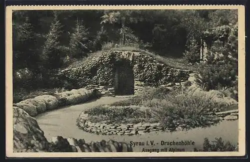 AK Syrau i. V., Drachenhöhle, Ausgang mit Alpinum