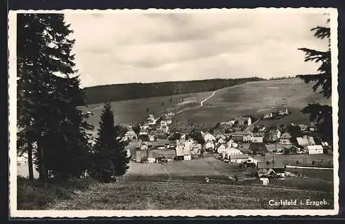 AK Carlsfeld i. Erzgeb., Teilansicht mit Tannen