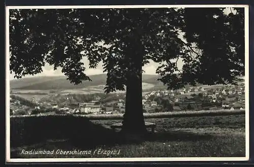 AK Oberschlema /Erzgeb., Teilansicht mit Baum
