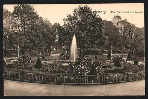AK Freiberg / S., Albertpark und Freitreppe