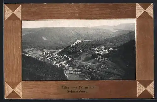 AK Schwarzburg, Panoramablick vom Trippstein aus gesehen