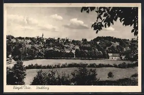 AK Bürgel /Thür., Blick auf den Stadtberg