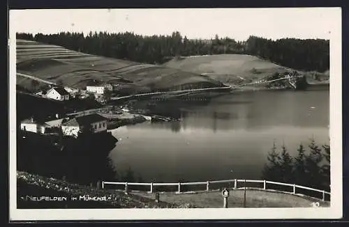 AK Neufelden im Mühlkr., Panorama