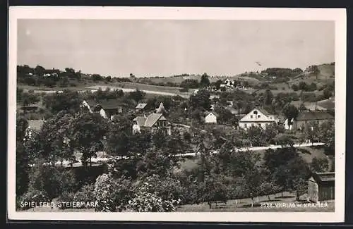 AK Spielfeld /Steiermark, Ortspartie mit Strasse