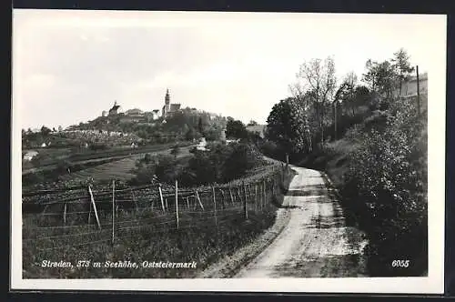 AK Straden /Oststeiermark, Ortspartie mit Strasse