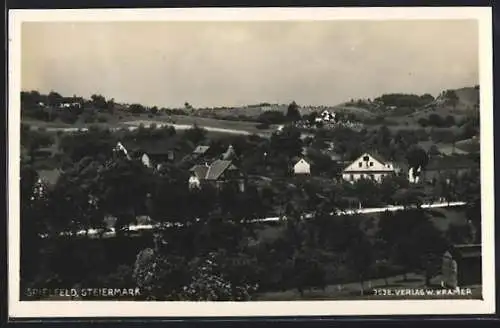 AK Spielfeld /Steiermark, Ortspartie mit Strasse