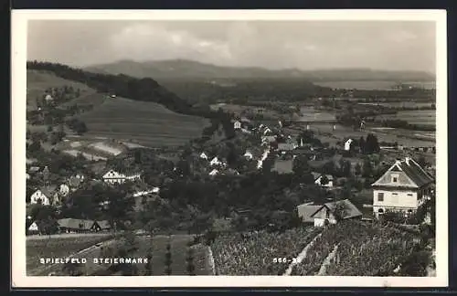 AK Spielfeld /Steiermark, Teilansicht mit Strassenpartie