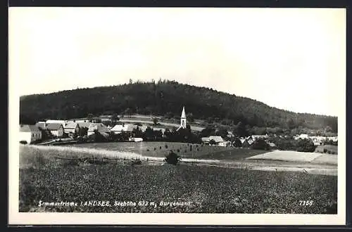 AK Landsee /Burgenland, Teilansicht mit Kirche