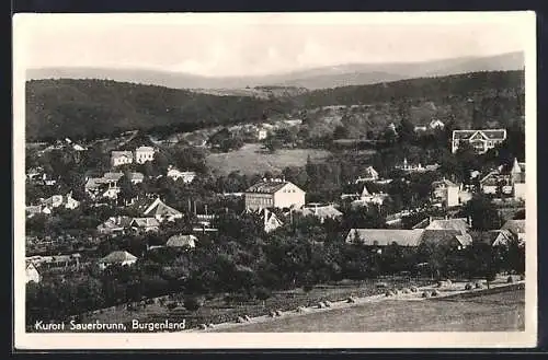 AK Sauerbrunn /Burgenland, Teilansicht