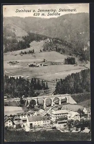 AK Steinhaus a. Semmering, Teilansicht mit Viadukt