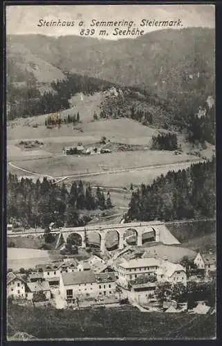 AK Steinhaus a. Semmering, Ortsansicht mit Viadukt