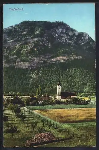 AK Teufenbach /Stmk., Ortsansicht gegen den Berg