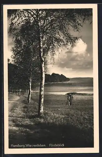 AK Flensburg-Wassersleben, Panorama an der Förde