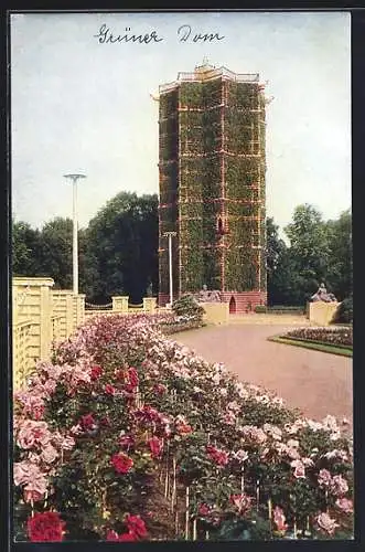 AK Dresden, Jubiläums-Gartenbau-Ausstellung 1926, Blick vom Riesengrossen Rosengarten