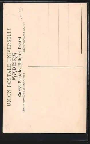 AK Madeira, Mann vom Land in portugiesischer Tracht