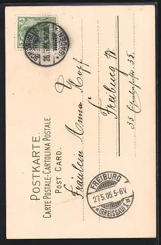 Künstler-AK Catharina Klein: Rote Weintrauben an der Rebe