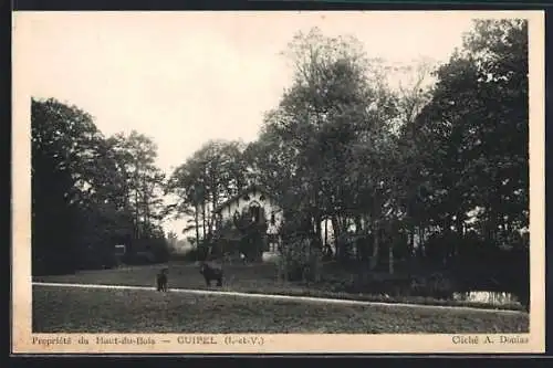 AK Guipel, Propriété du Haut-du-Bois et ses environs boisés