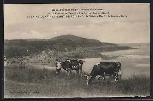 AK Saint-Lunaire à Saint-Briac, La Garde Guérin, vaches au bord de mer